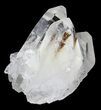 Phantom Quartz Crystal Cluster - Arkansas #30428-2